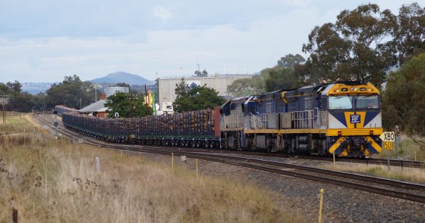 First trainload of timber arrives to support Snowy Region mills