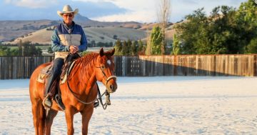 Young export Warwick Schiller riding high with first horse training book a bestseller