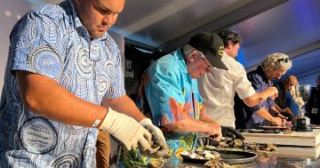 Shucking champ 'Doody' bound for Ireland as Narooma oyster fest bids for world cup