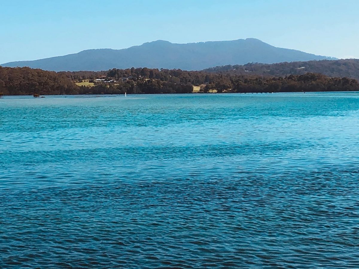 A photograph of Wagonga Inlet in the sun and blue sky in the background. 