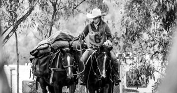 Bree made a youth ambassador for Australian Stock Horse Society