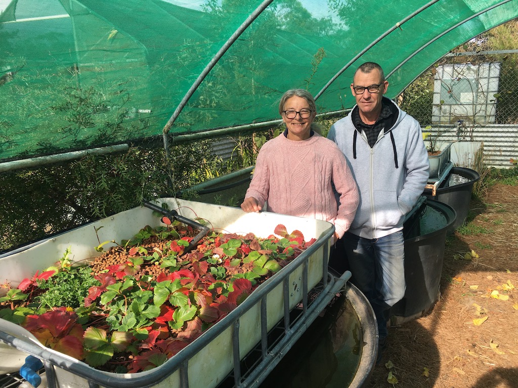 man and woman with aquaponic tanks