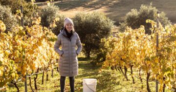 Five minutes with Emma Shaw, Collector Wines and Pique Nique