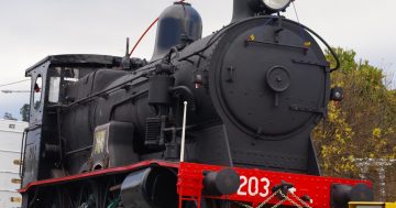 Much excitement as steam locomotive returns to Cooma