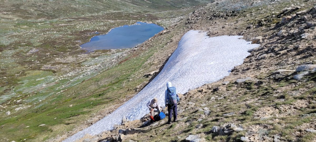 Snow patches research near Mt Kosciuszko.