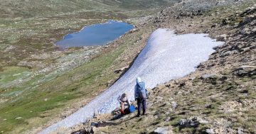 'Climate change affecting snow patches' in Snowy Mountains