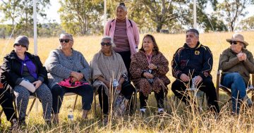 About 600 First Nations artefacts unearthed at site of new Eurobodalla hospital