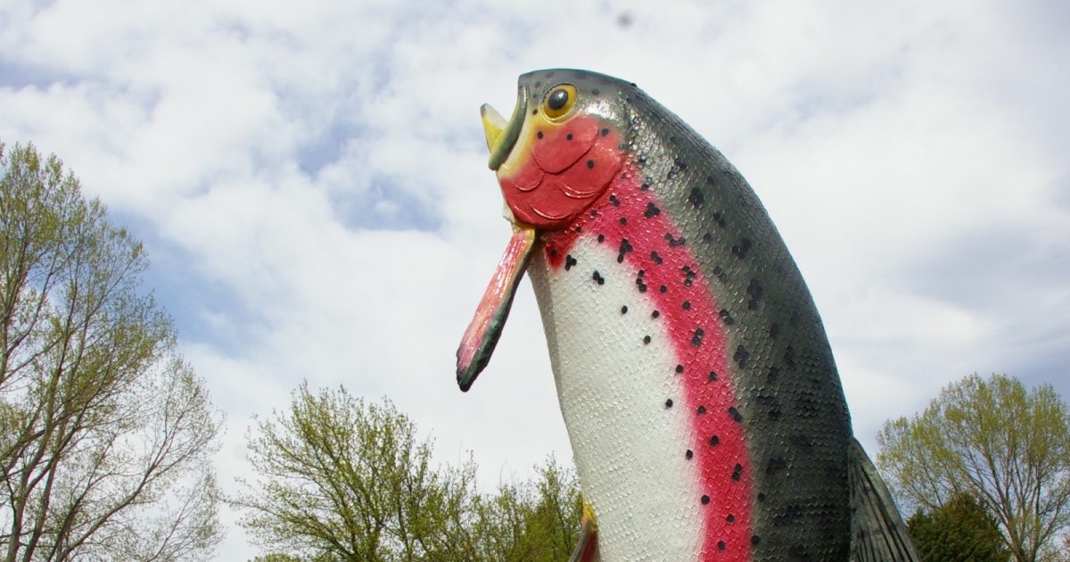 Cash splash set to spruce up Adaminaby's Big Trout as icon turns 50