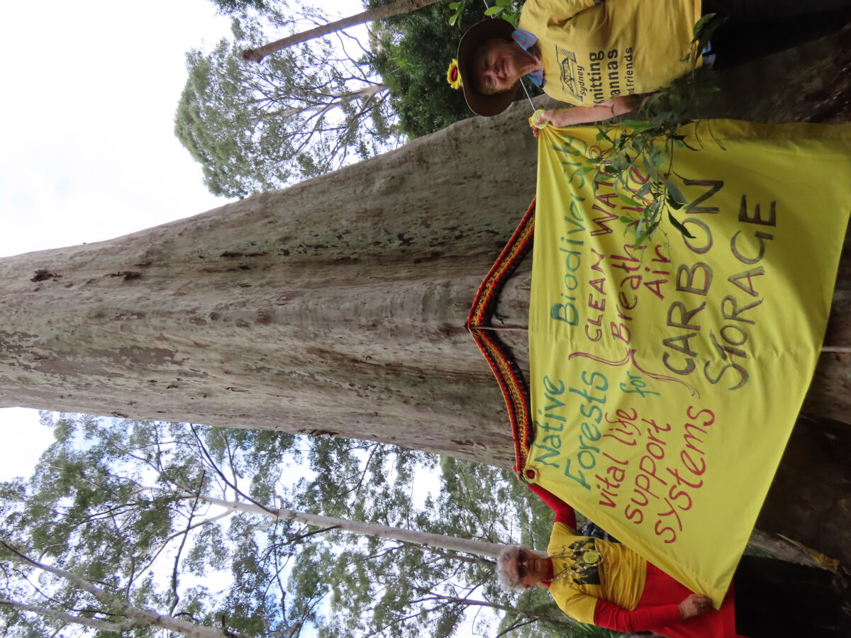 women with protest banner around tree