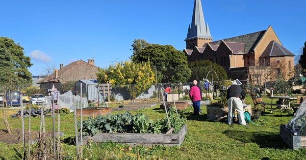 Growing strong for 10 years – community garden marks a milestone in Goulburn