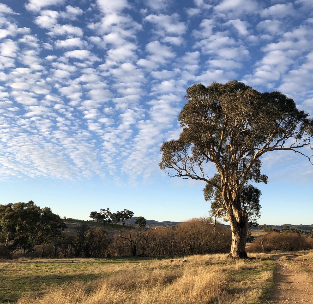 clouds and countryside