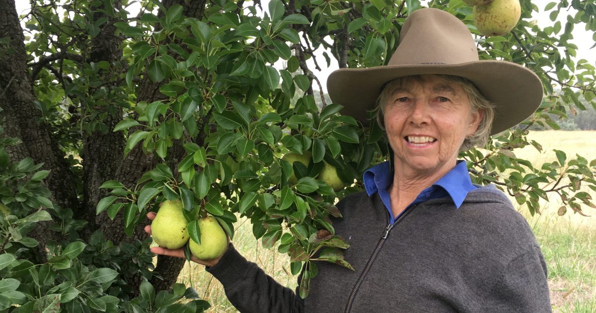 Breadalbane artist draws on her landscape for natural inspiration