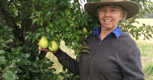 Breadalbane artist draws on her landscape for natural inspiration