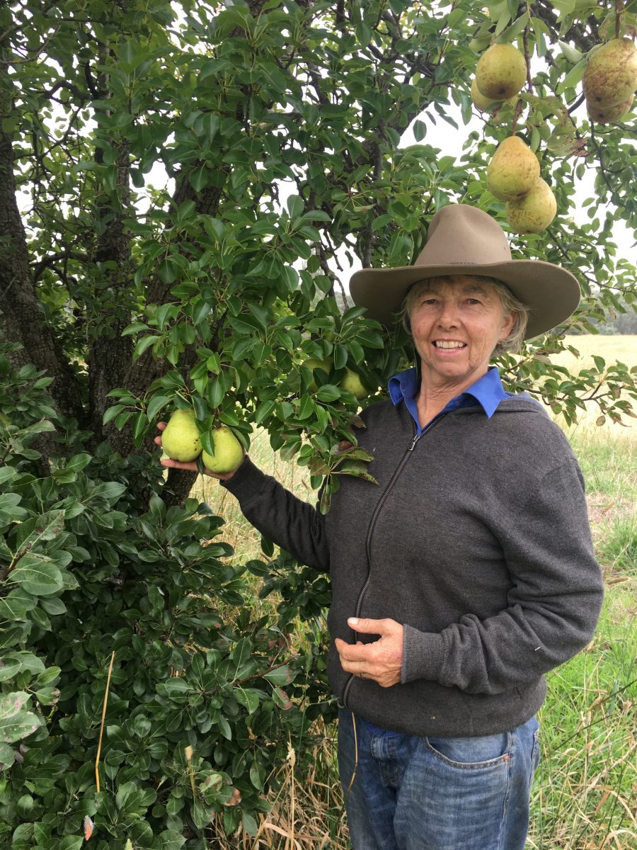 Woman under pear tree