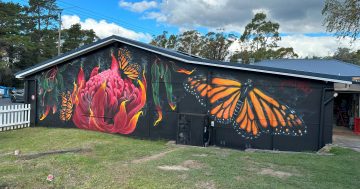 Upper Lachlan residents urged to embark on post-bushfire journey - through art