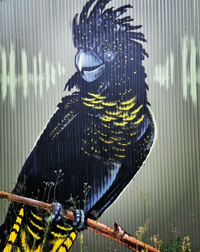 Black cockatoo mural