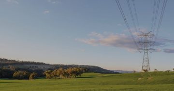 McGirr welcomes HumeLink transmission line inquiry