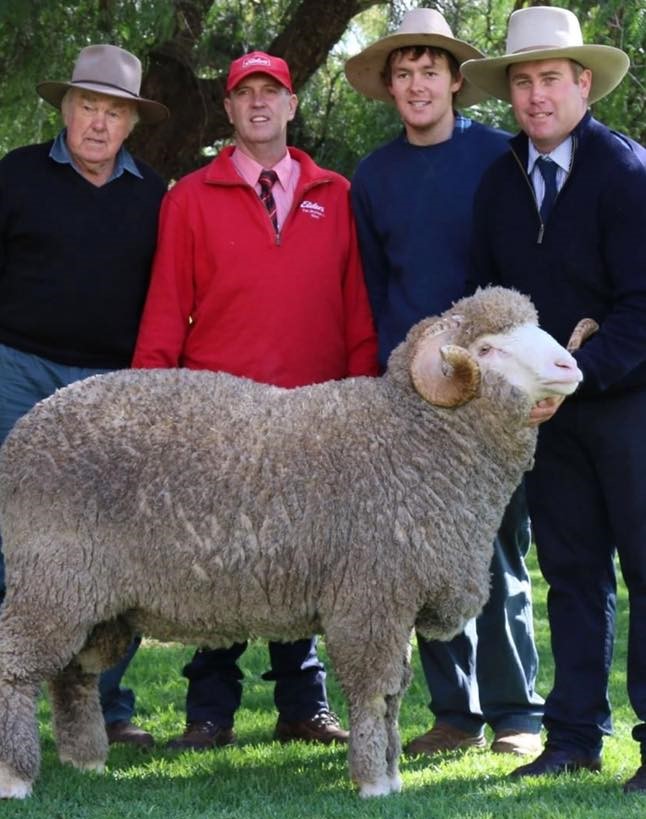 four men with a sheep