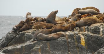 Mayor, tour operators concerned by new limits on Barunguba visitor numbers