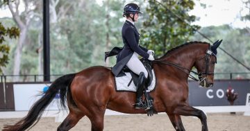 Special addition to Willinga Park's spectacular two-day dressage event