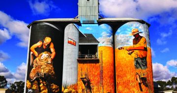 Five spectacular painted silos and water tanks in the Riverina
