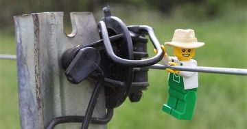 Wagga student's LEGO farmer advancing Australian agriculture