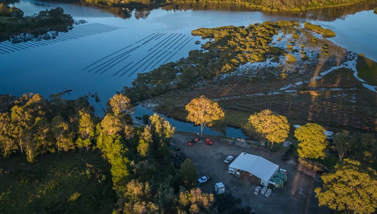 aerial photo oyster lease