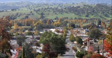 EPA searches for answers as ghastly odour forces Tumut residents indoors