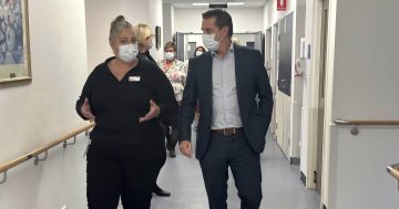 NSW Health inquiry launched as Labor accuses coalition of plan to 'sack 1100 nurses'