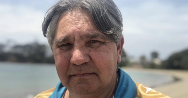 Aboriginal elder resigns from council committee over Voice recommendation