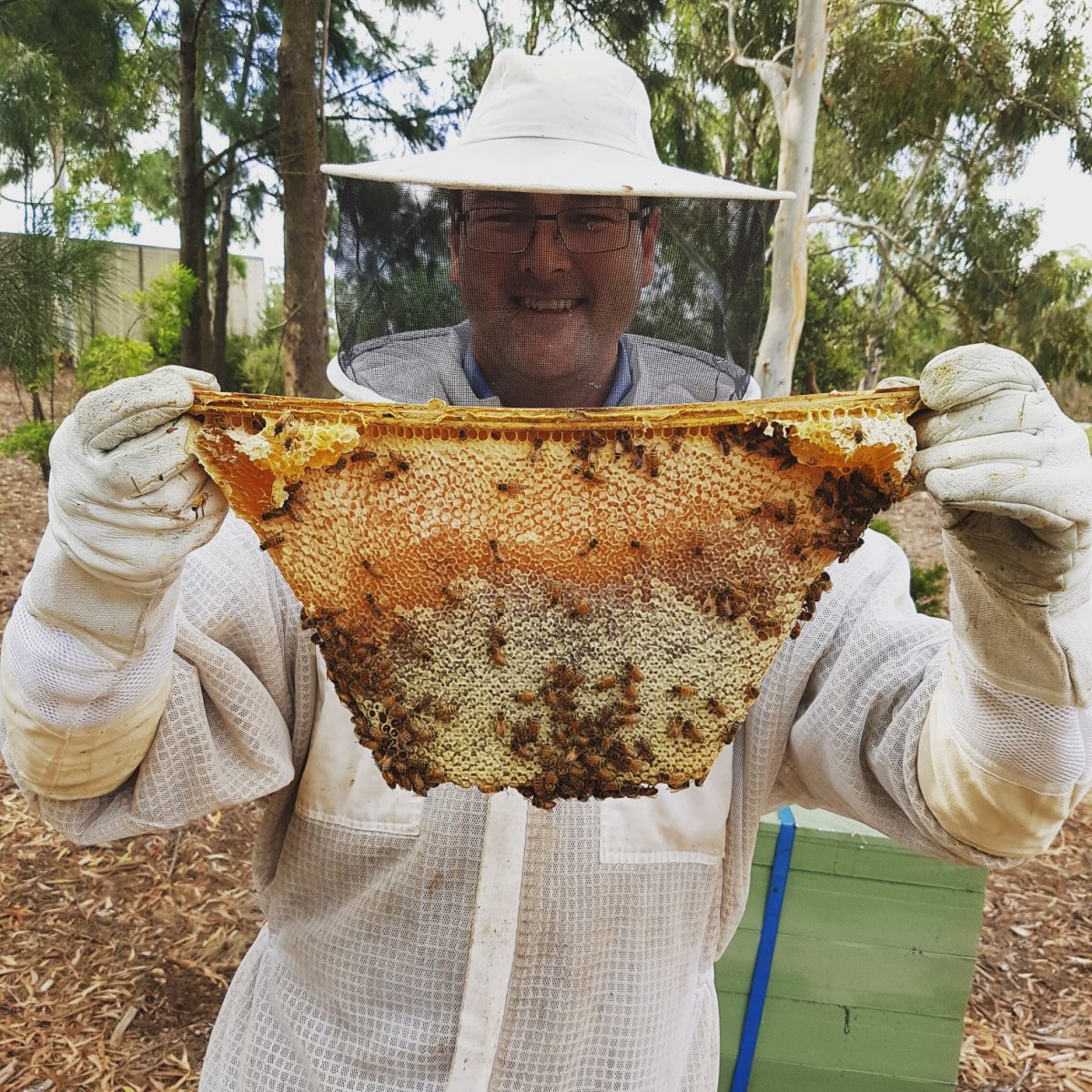 A man in beekeeping gear holding honeycomb