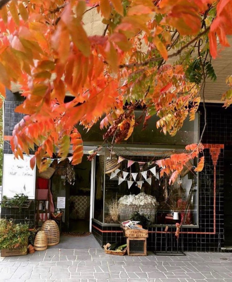 Autumn decorations at shop