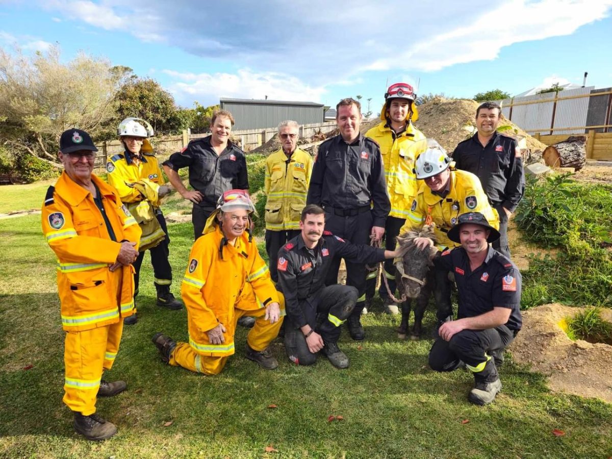 After rescuing him from a hole, Ted poses with the rescuers from Moruya and Bodalla who saved him