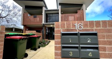 Bureaucrats unaware of public liquidation notice on insolvent company chosen to build Wagga housing