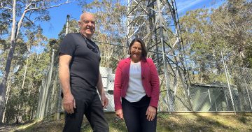 South Durras more resilient as power and comms cables go underground