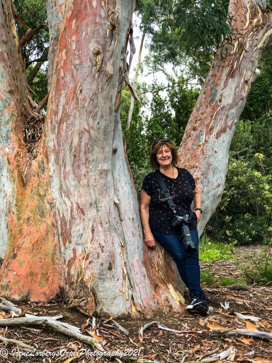 Woman leaning on tree