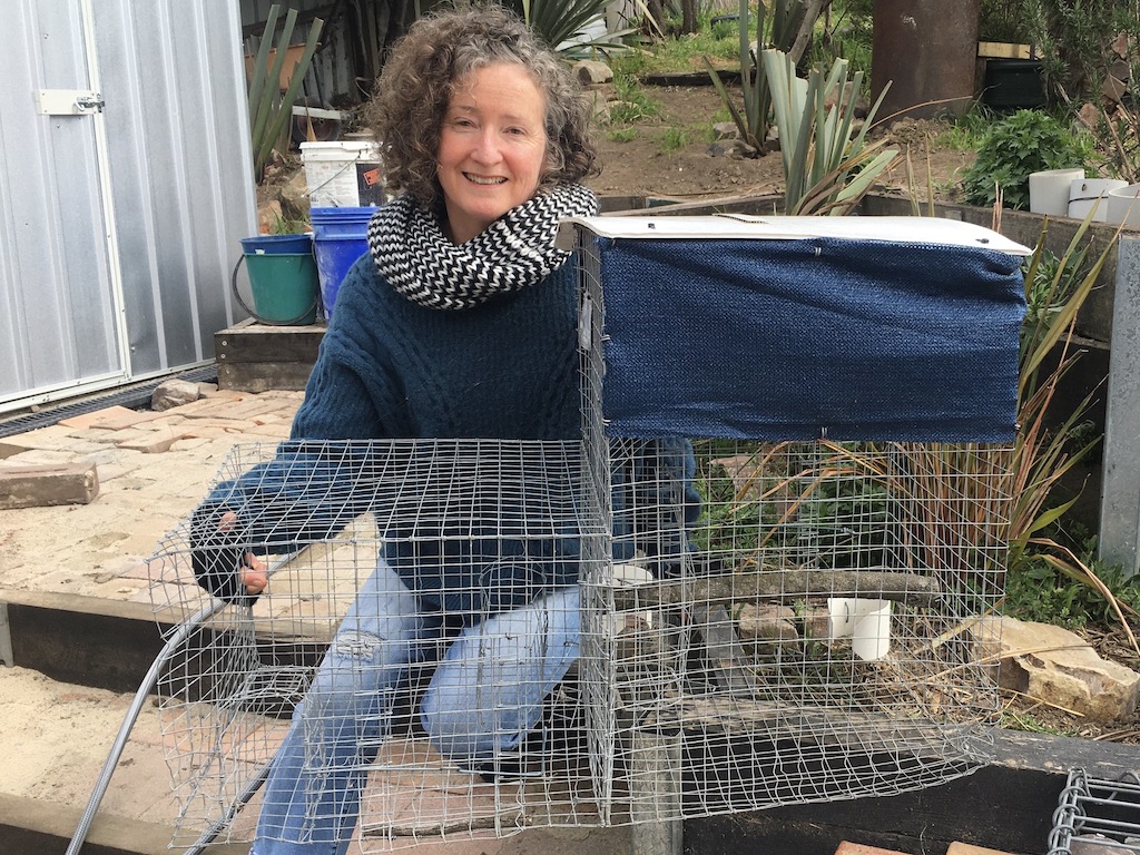 Woman with wire trap