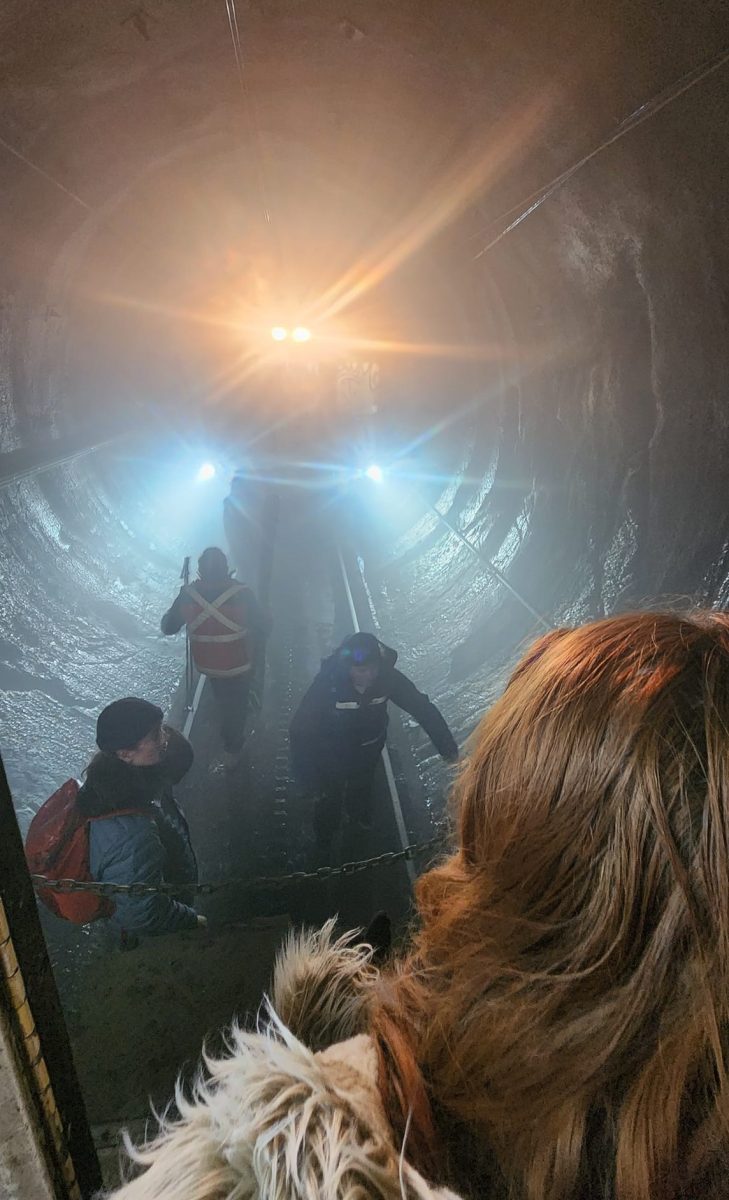 train inside skitube tunnel