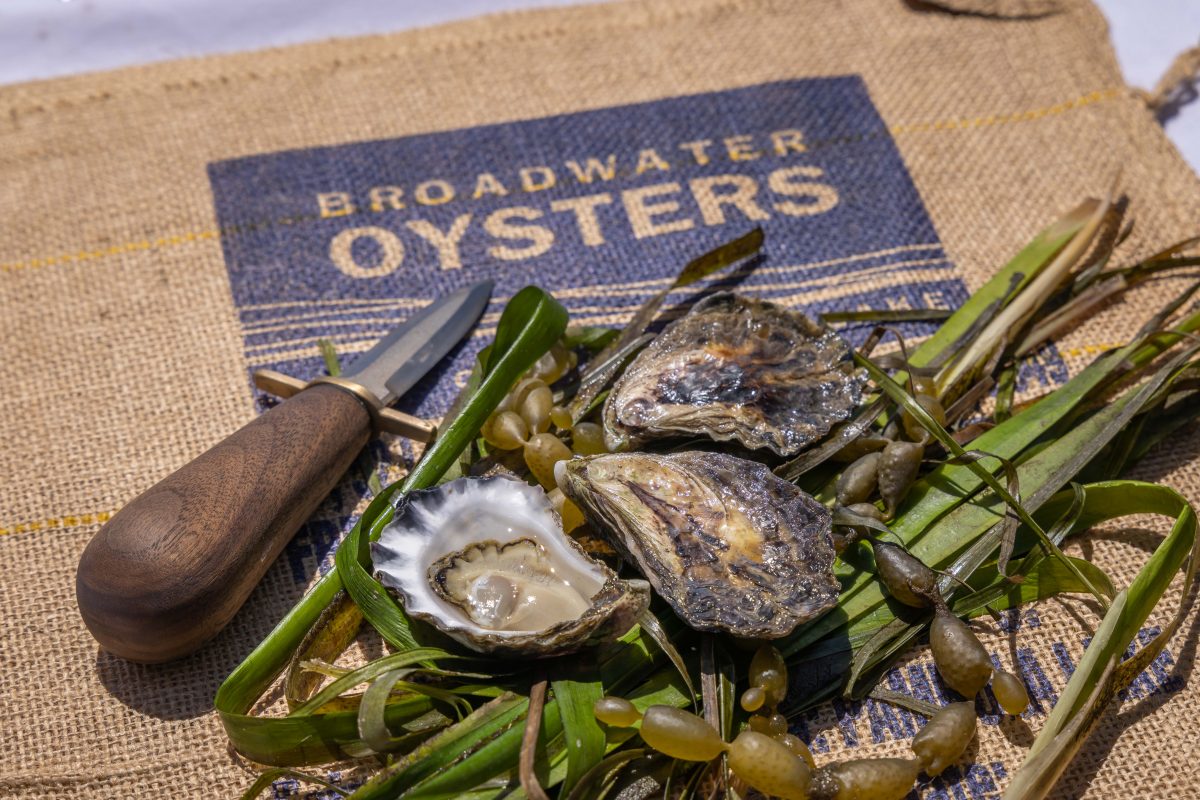 Oysters and a knife on a bag with 'Broadwater Oysters' written on it