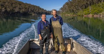 Meet the Makers: Broadwater Oysters are bringing a taste of the sea to your door