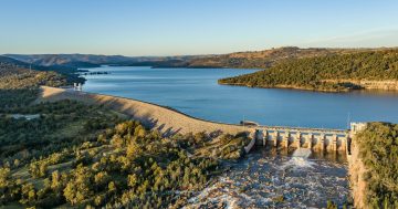 'Catastrophic environmental impacts': NSW Government scraps Wyangala Dam expansion