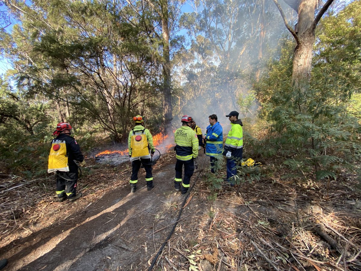 Fire and Rescue NSW conduct a cultural burn at Tura Beach Flora Reserve in Merimbula.