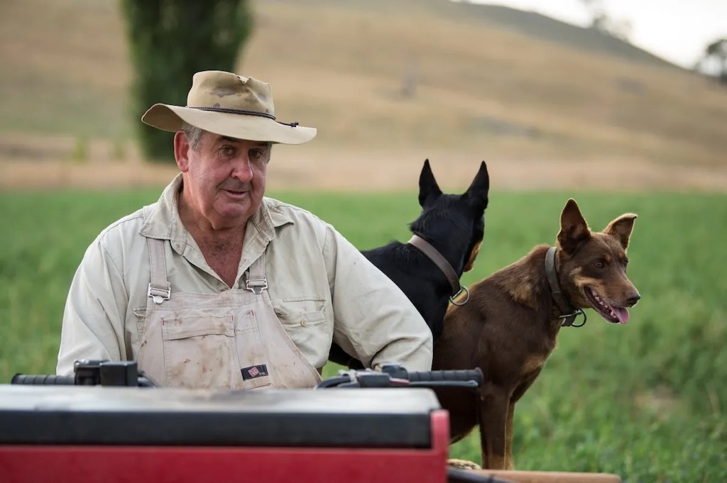 farmer with dogs