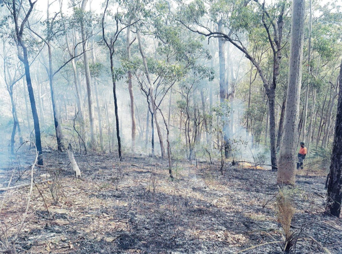 Batemans Bay Aboriginal Land Council conduct a cultural burn on Country.