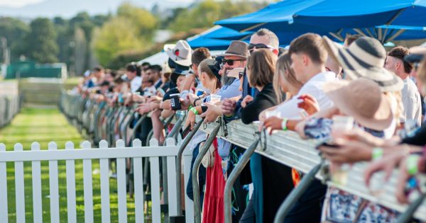 Who will win? Charities named in the race for funds on community day at Thoroughbred Park