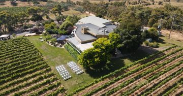 Contentious Character winery and restaurant business for sale