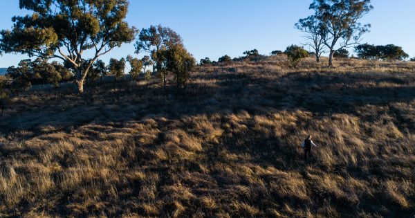 Woodside purchases Monaro farmland to offset carbon emissions