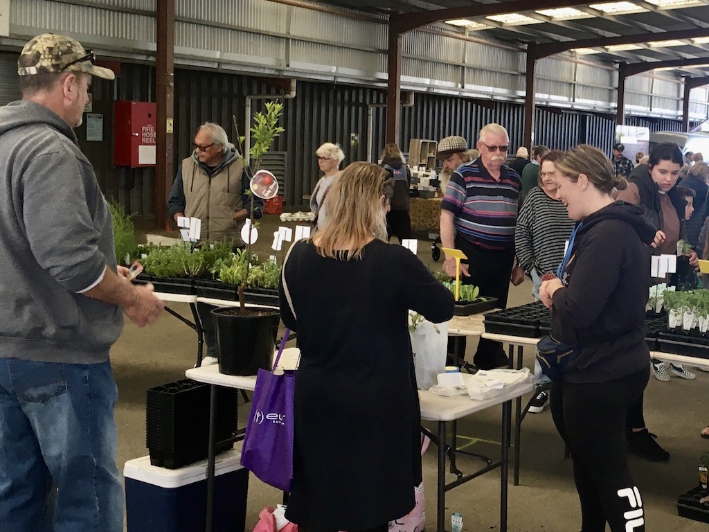 People standing around at tables and looking at plants