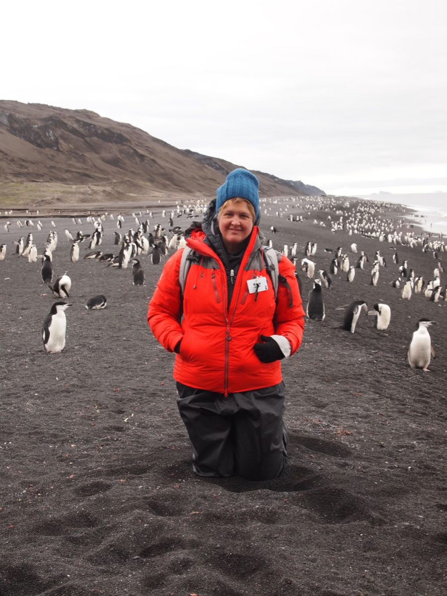Woman surrounded by penguins