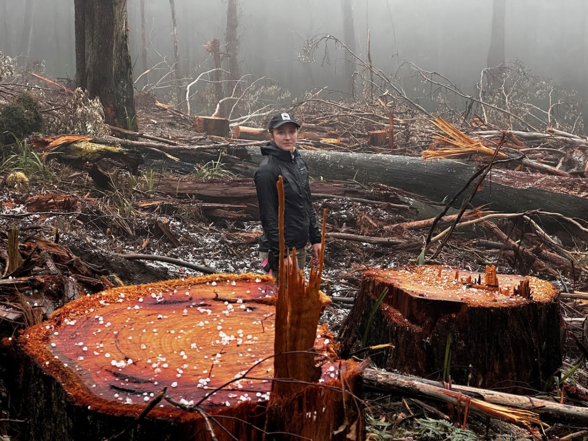 woman in logging site